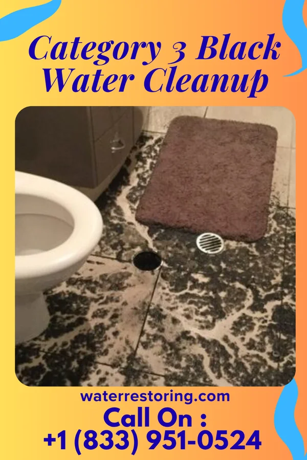 Category 3 Black Water Cleanup in Everett, WA