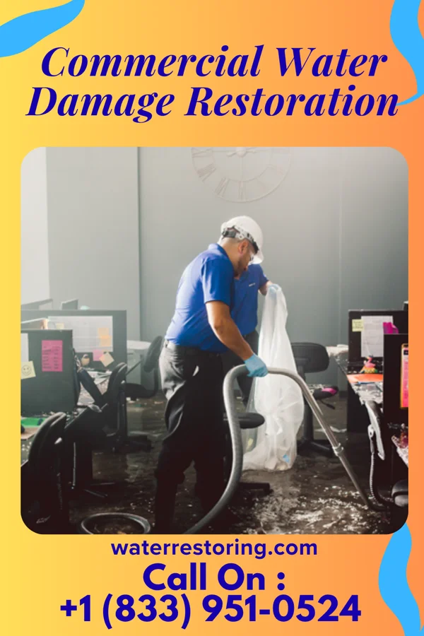 Commercial Water Damage Restoration in Everett, WA