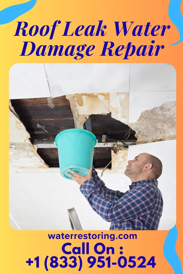 Roof Leak Water Damage Repair in Everett, WA